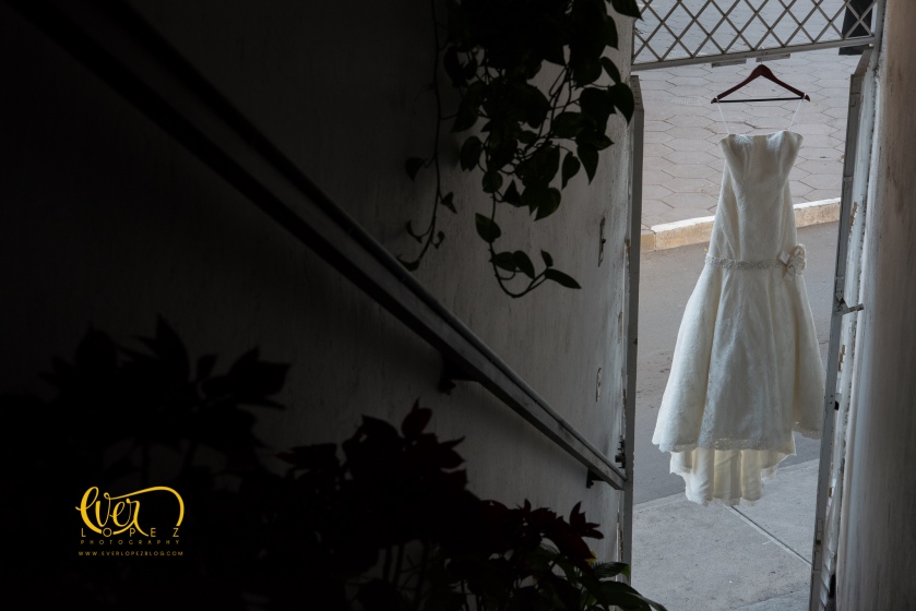 fotografo profesional de bodas en ameca jalisco mexico vestido de novia